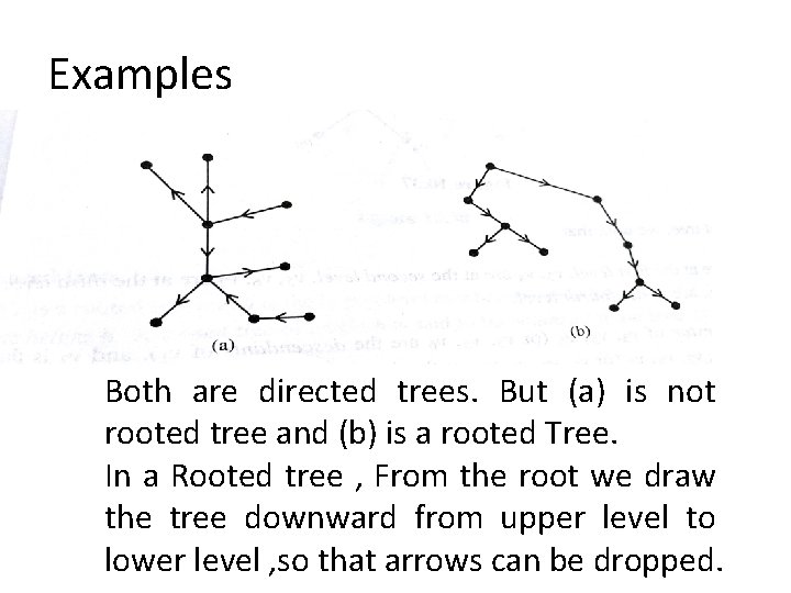 Examples Both are directed trees. But (a) is not rooted tree and (b) is Examples Both are directed trees. But (a) is not rooted tree and (b) is
