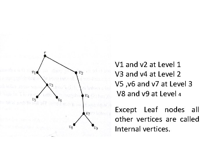V 1 and v 2 at Level 1 V 3 and v 4 at V 1 and v 2 at Level 1 V 3 and v 4 at
