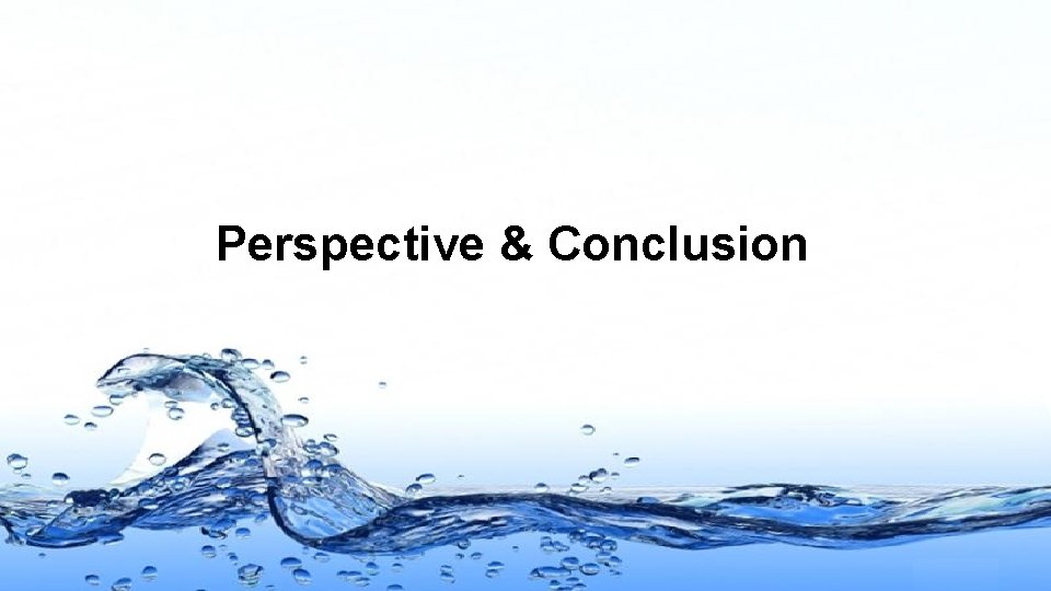 Perspective & Conclusion Page 21 