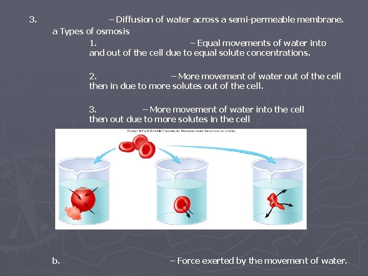 3. – Diffusion of water across a semi-permeable membrane. a Types of osmosis 1.
