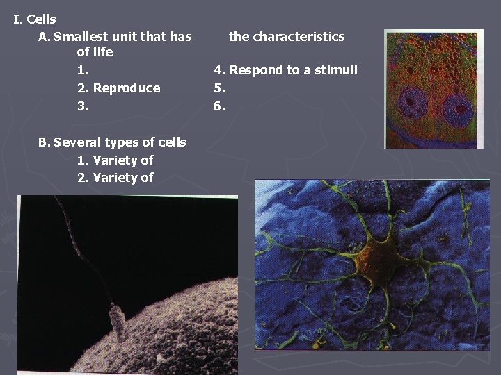 I. Cells A. Smallest unit that has of life 1. 2. Reproduce 3. B.