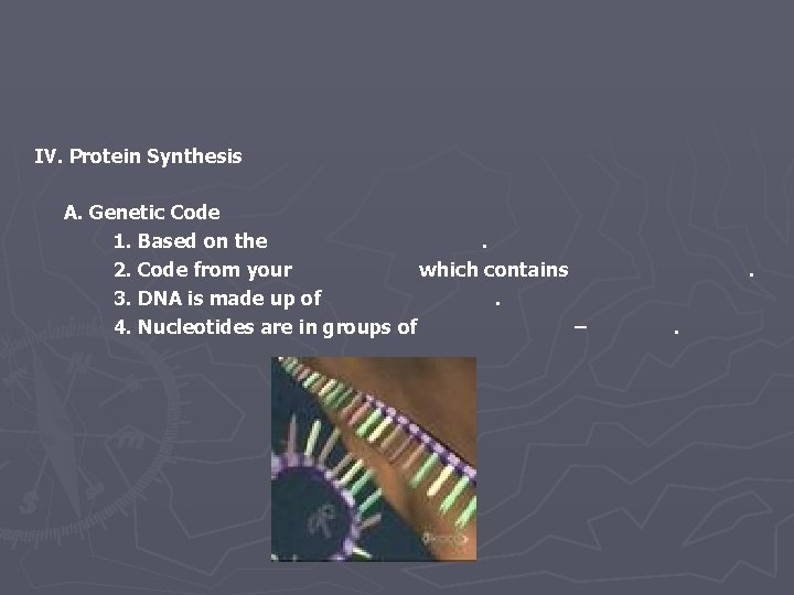 IV. Protein Synthesis A. Genetic Code 1. Based on the. 2. Code from your