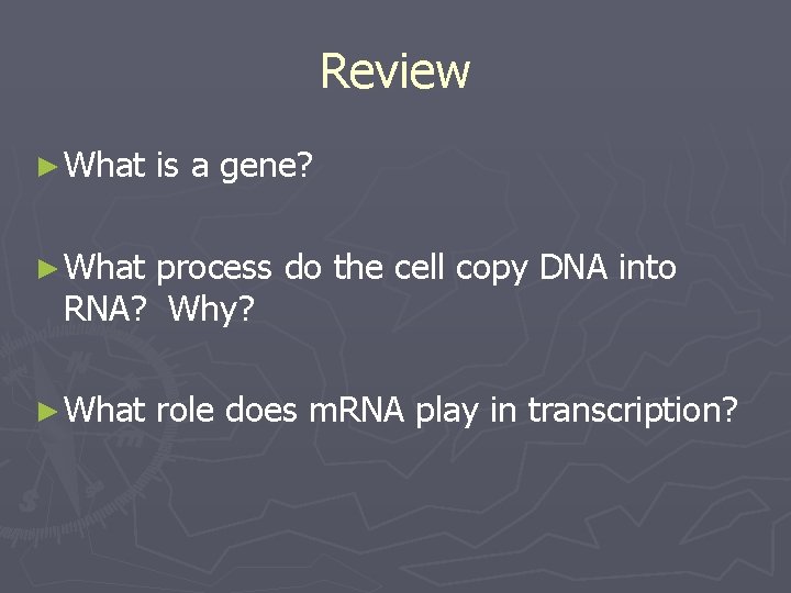 Review ► What is a gene? ► What process do the cell copy DNA
