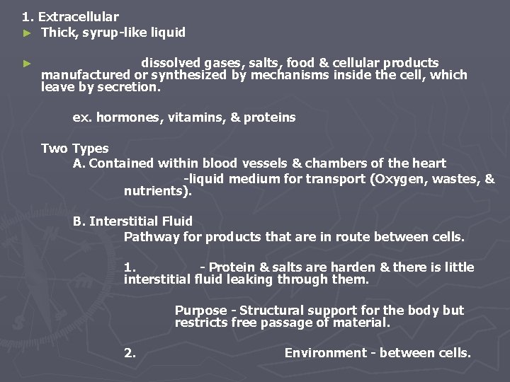 1. Extracellular ► Thick, syrup-like liquid ► dissolved gases, salts, food & cellular products