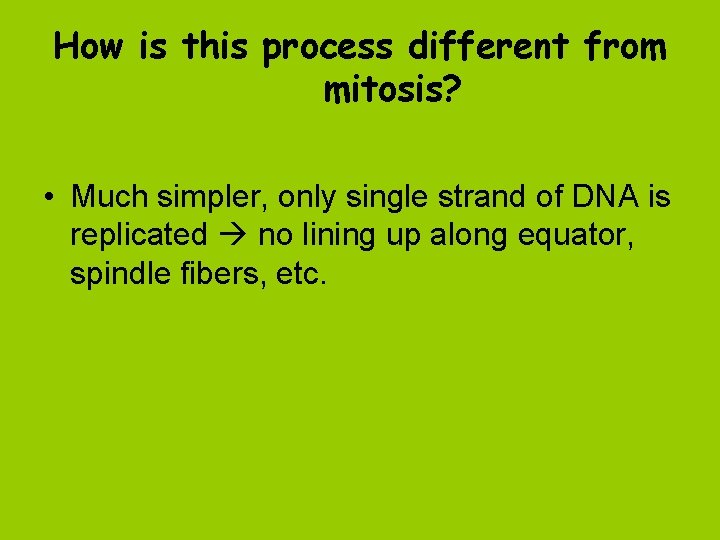 How is this process different from mitosis? • Much simpler, only single strand of