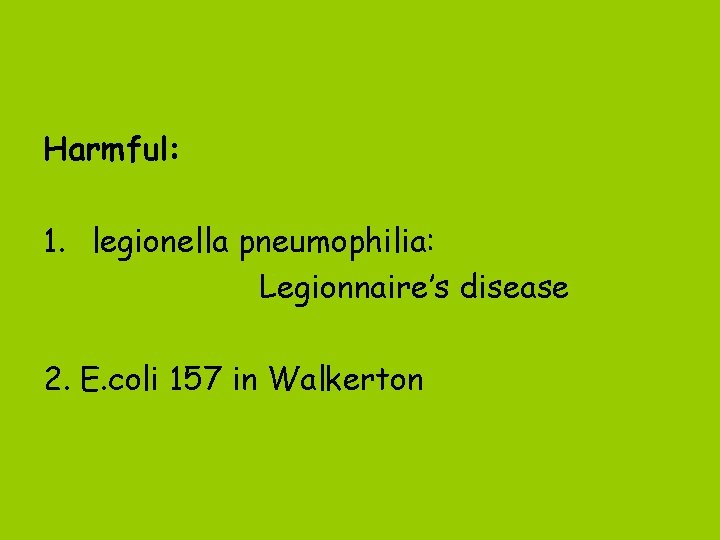 Harmful: 1. legionella pneumophilia: Legionnaire’s disease 2. E. coli 157 in Walkerton 