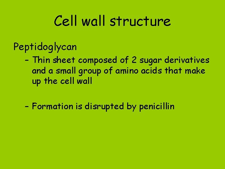 Cell wall structure Peptidoglycan – Thin sheet composed of 2 sugar derivatives and a