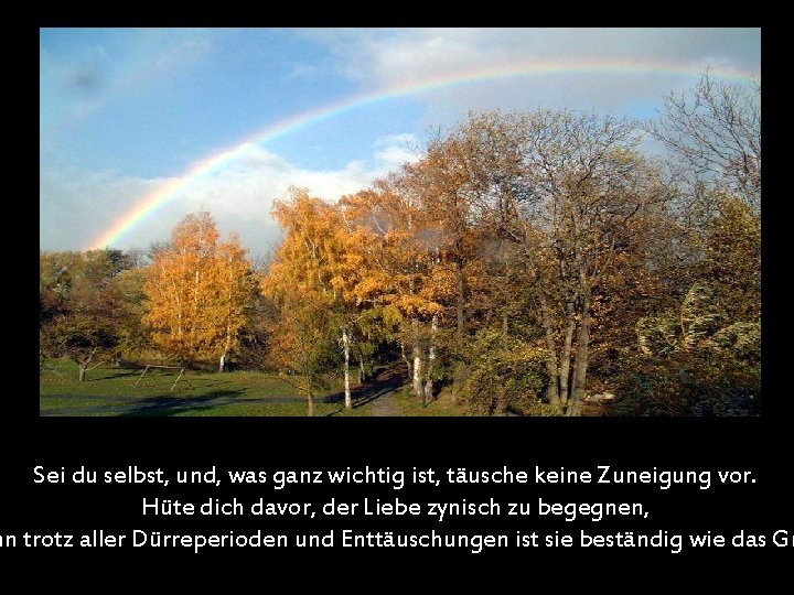 Sei du selbst, und, was ganz wichtig ist, täusche keine Zuneigung vor. Hüte dich