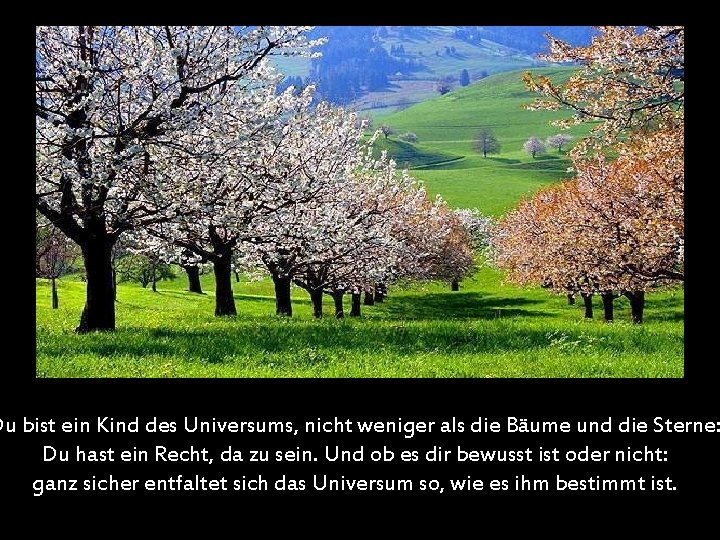 Du bist ein Kind des Universums, nicht weniger als die Bäume und die Sterne: