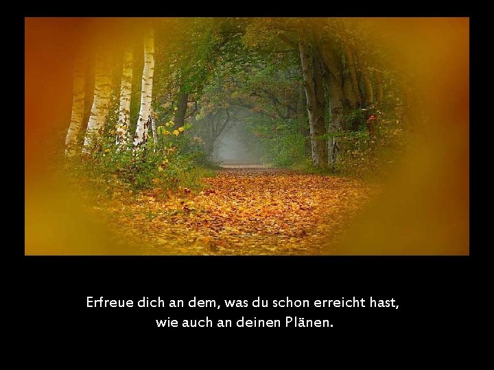 Erfreue dich an dem, was du schon erreicht hast, wie auch an deinen Plänen.