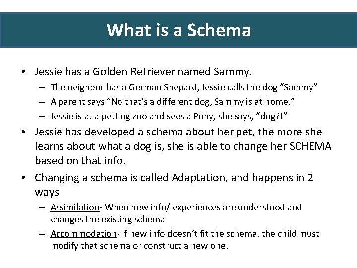 What is a Schema • Jessie has a Golden Retriever named Sammy. – The