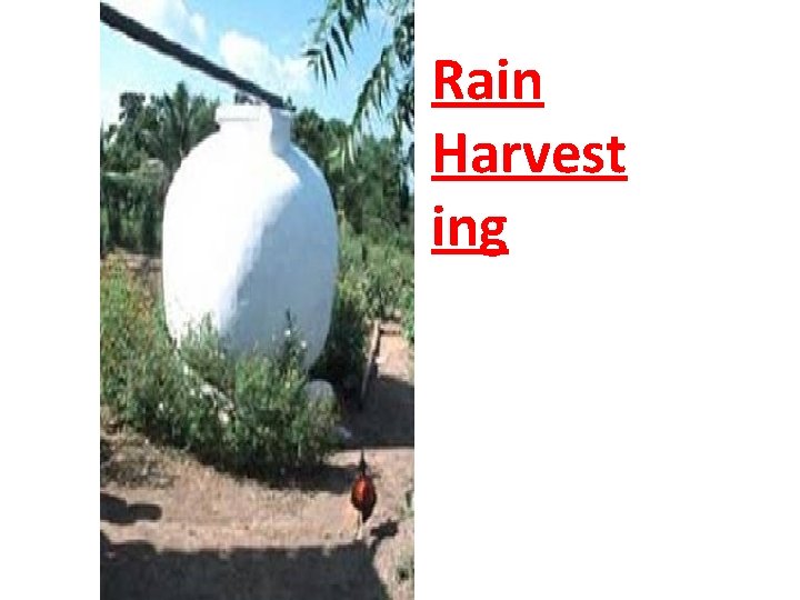 Rain Harvest ing 