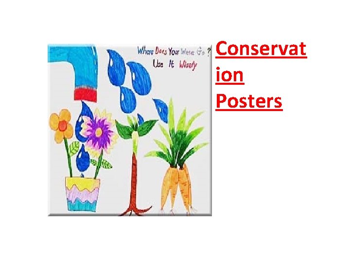 Conservat ion Posters 