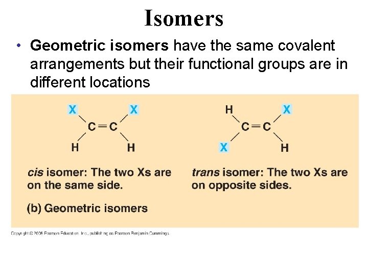 Isomers • Geometric isomers have the same covalent arrangements but their functional groups are Isomers • Geometric isomers have the same covalent arrangements but their functional groups are