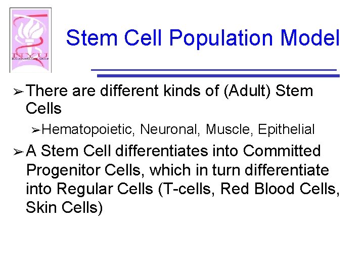 Stem Cell Population Model ➢ There Cells are different kinds of (Adult) Stem ➢