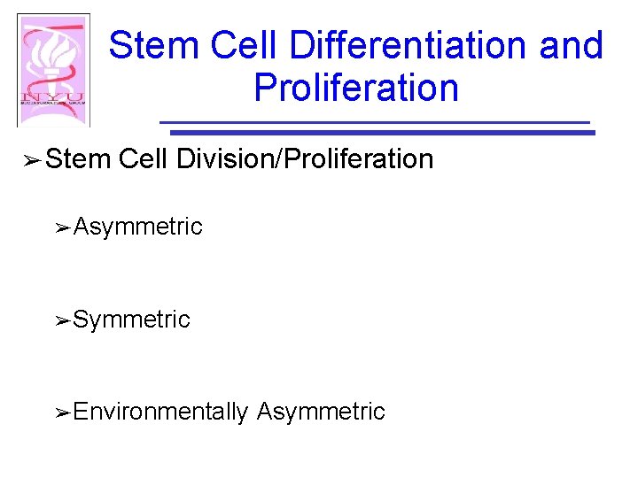 Stem Cell Differentiation and Proliferation ➢ Stem Cell Division/Proliferation ➢ Asymmetric ➢ Symmetric ➢