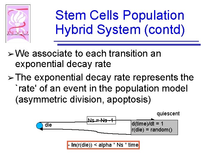 Stem Cells Population Hybrid System (contd) ➢ We associate to each transition an exponential