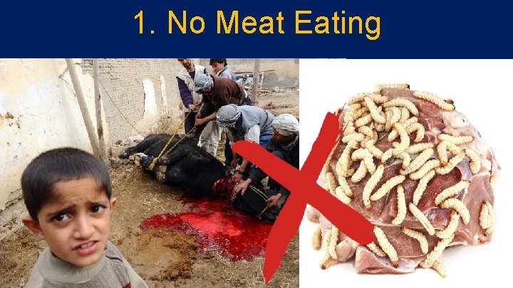 1. No Meat Eating 22 