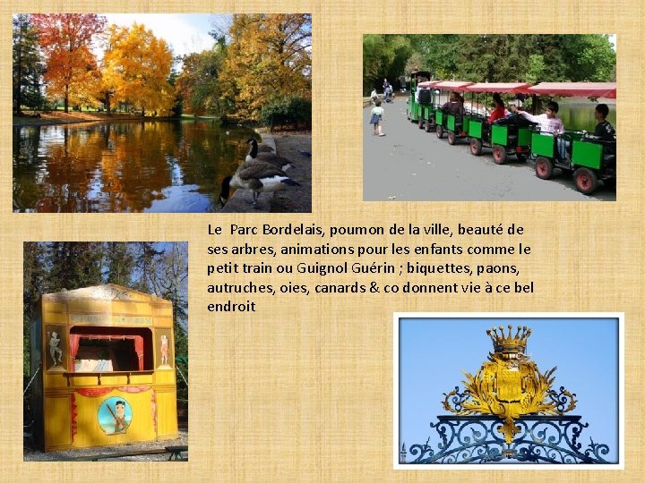Le Parc Bordelais, poumon de la ville, beauté de ses arbres, animations pour les