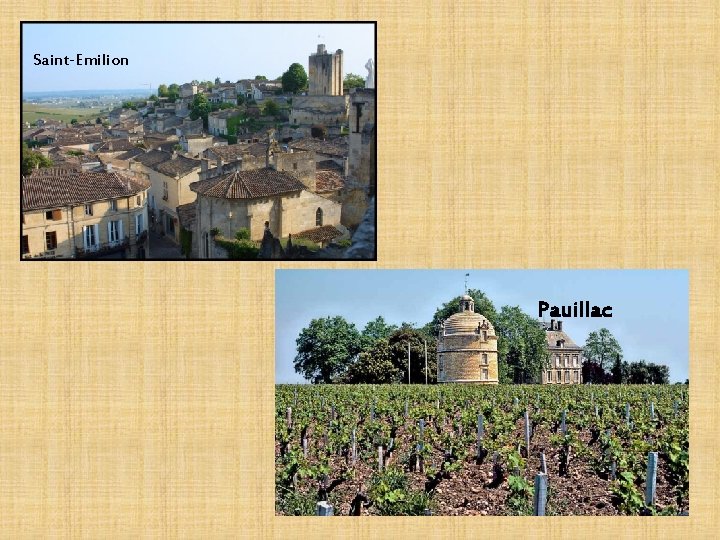 Saint-Emilion Pauillac 