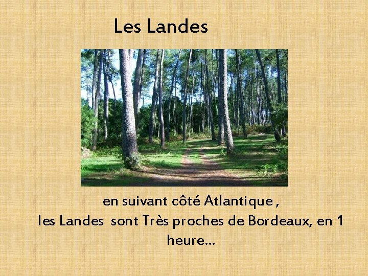 Les Landes en suivant côté Atlantique , les Landes sont Très proches de Bordeaux,