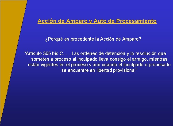 Acción de Amparo y Auto de Procesamiento ¿Porqué es procedente la Acción de Amparo?