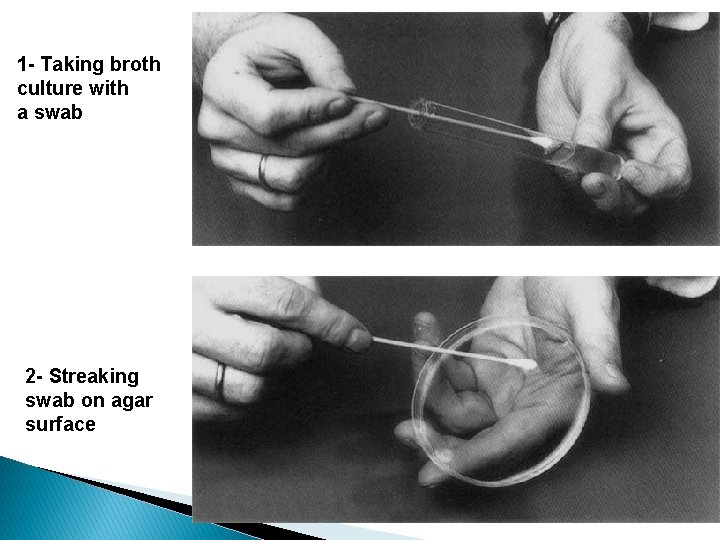 1 - Taking broth culture with a swab 2 - Streaking swab on agar