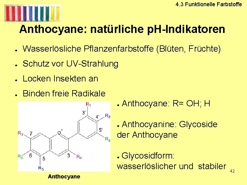 4. 3 Funktionelle Farbstoffe Anthocyane: natürliche p. H-Indikatoren ● Wasserlösliche Pflanzenfarbstoffe (Blüten, Früchte) ●