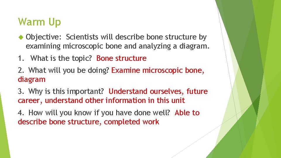Warm Up Objective: Scientists will describe bone structure by examining microscopic bone and analyzing