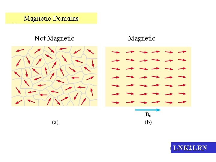 Magnetic Domains Not Magnetic LNK 2 LRN 