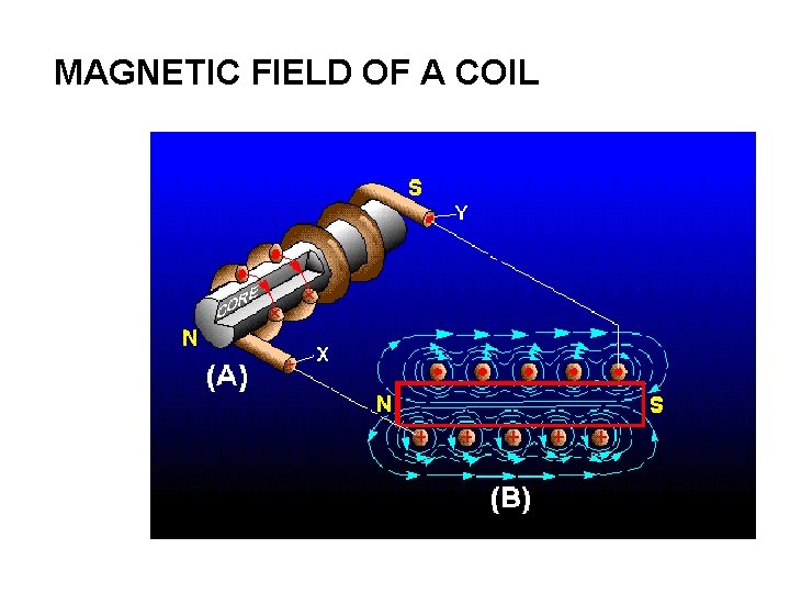 MAGNETIC FIELD OF A COIL 