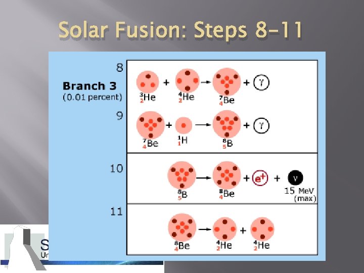Solar Fusion: Steps 8 -11 