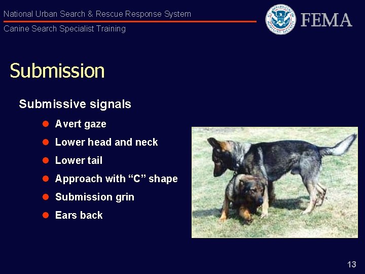 National Urban Search & Rescue Response System Canine Search Specialist Training Submission Submissive signals