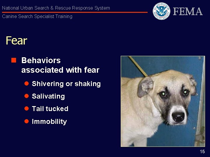 National Urban Search & Rescue Response System Canine Search Specialist Training Fear n Behaviors