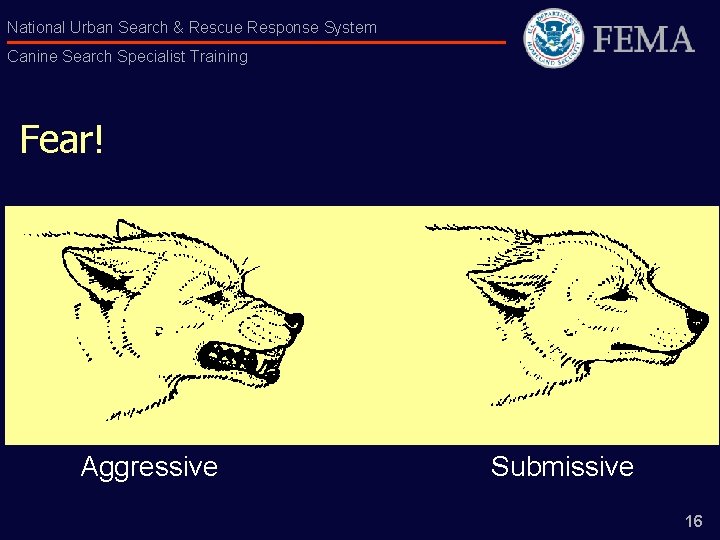 National Urban Search & Rescue Response System Canine Search Specialist Training Fear! Aggressive Submissive