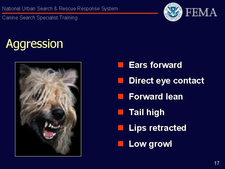 National Urban Search & Rescue Response System Canine Search Specialist Training Aggression n Ears