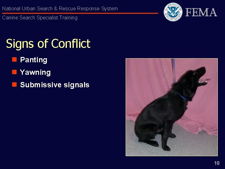 National Urban Search & Rescue Response System Canine Search Specialist Training Signs of Conflict