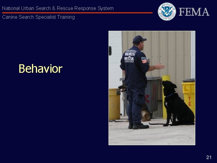 National Urban Search & Rescue Response System Canine Search Specialist Training Behavior 21 
