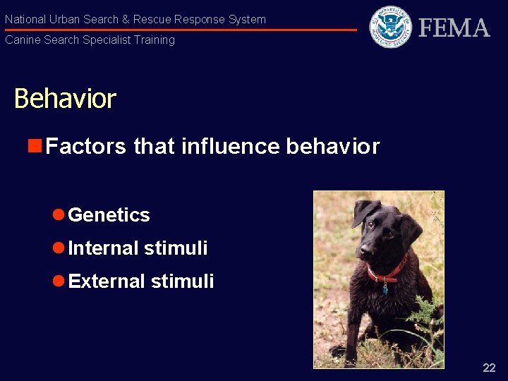 National Urban Search & Rescue Response System Canine Search Specialist Training Behavior n Factors