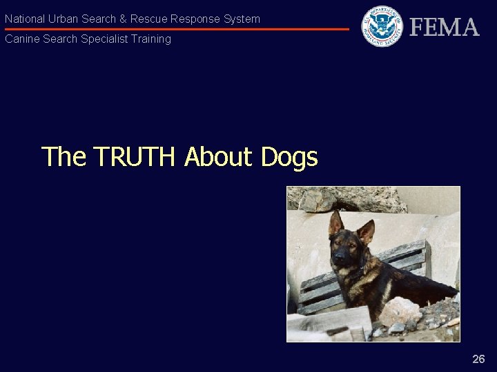 National Urban Search & Rescue Response System Canine Search Specialist Training The TRUTH About