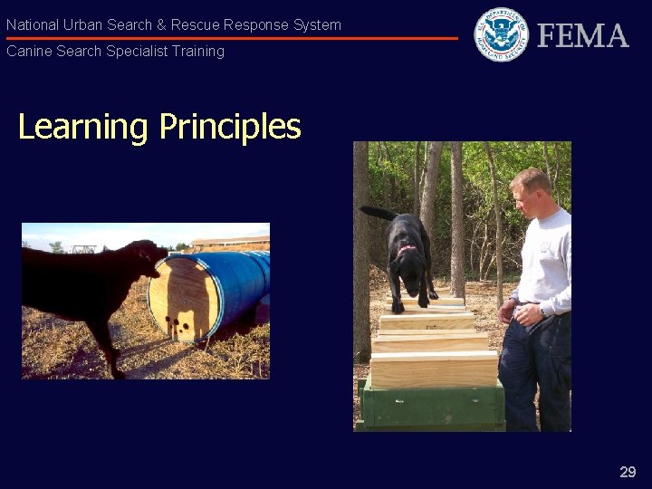 National Urban Search & Rescue Response System Canine Search Specialist Training Learning Principles 29