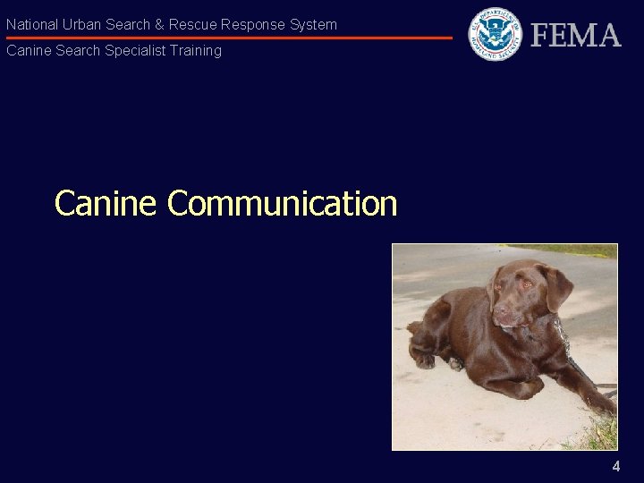 National Urban Search & Rescue Response System Canine Search Specialist Training Canine Communication 4