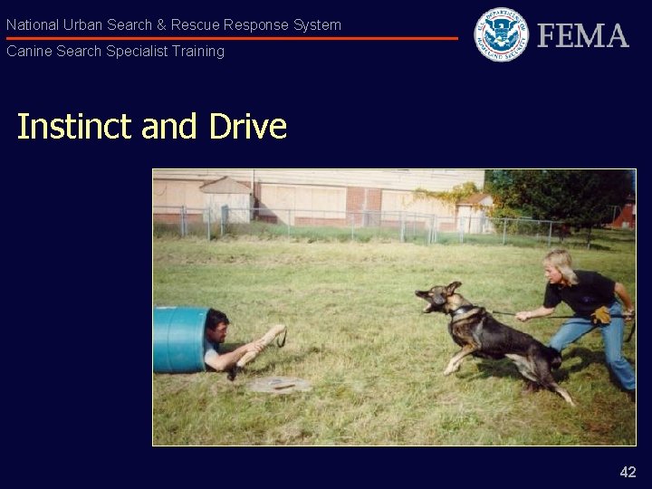 National Urban Search & Rescue Response System Canine Search Specialist Training Instinct and Drive