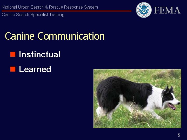 National Urban Search & Rescue Response System Canine Search Specialist Training Canine Communication n