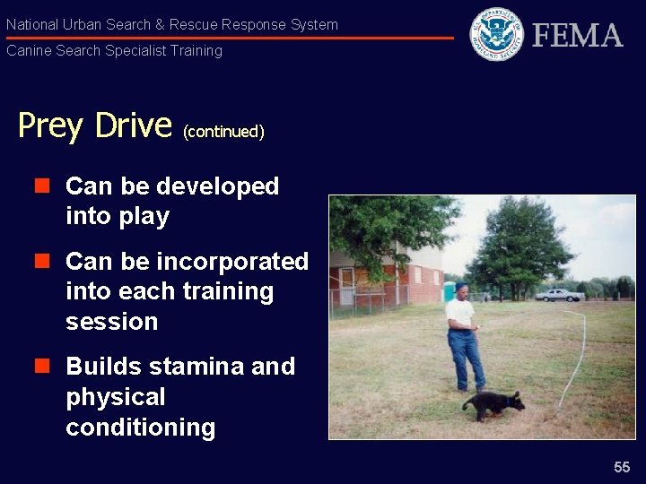 National Urban Search & Rescue Response System Canine Search Specialist Training Prey Drive (continued)