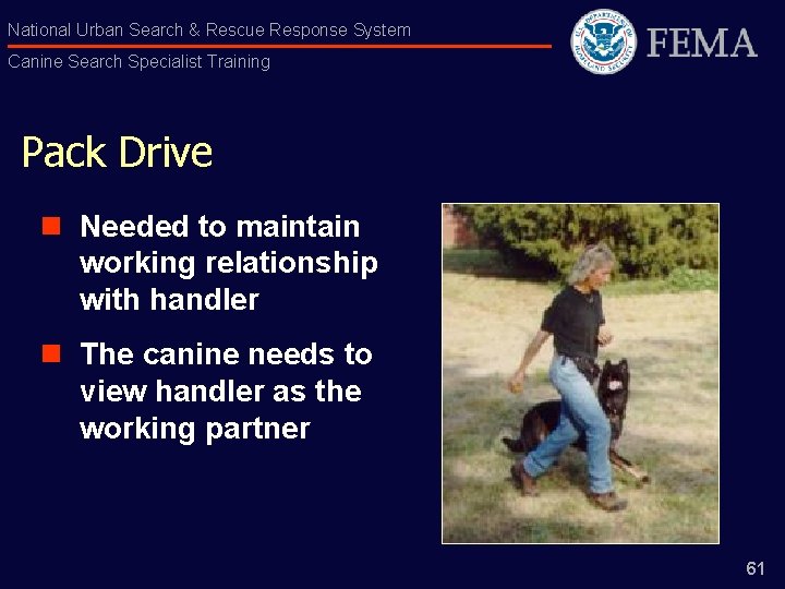 National Urban Search & Rescue Response System Canine Search Specialist Training Pack Drive n