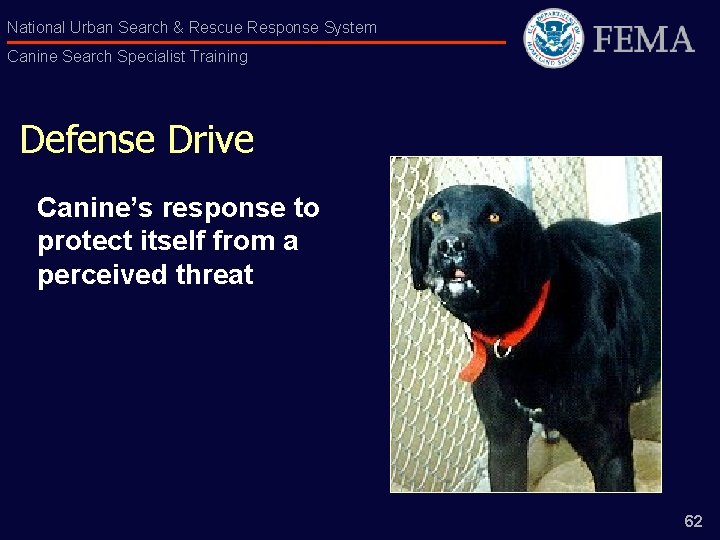 National Urban Search & Rescue Response System Canine Search Specialist Training Defense Drive Canine’s