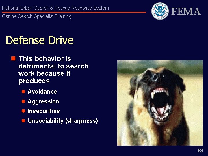 National Urban Search & Rescue Response System Canine Search Specialist Training Defense Drive n