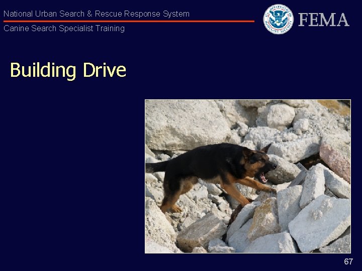 National Urban Search & Rescue Response System Canine Search Specialist Training Building Drive 67