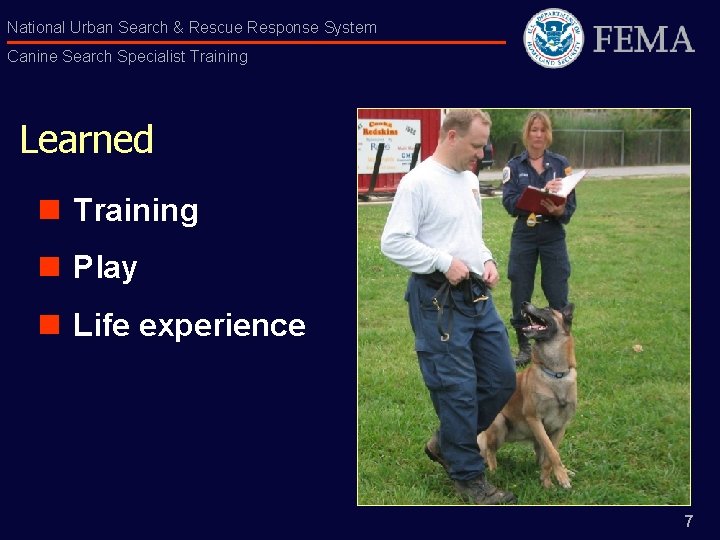 National Urban Search & Rescue Response System Canine Search Specialist Training Learned n Training